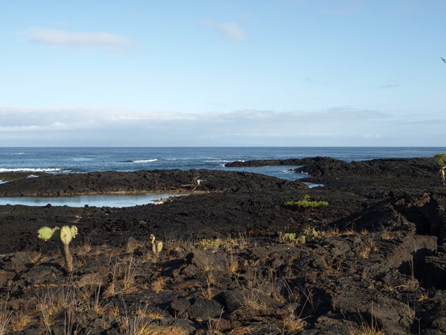 ../../Pictures/050210/058 Isla Isabela.JPG